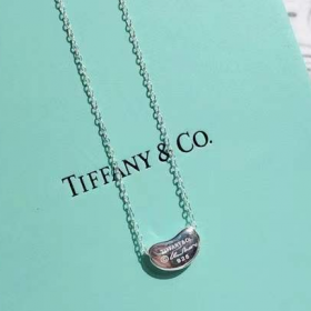 2020 Tiffany  Elsa Peretti Bean 18k Platinum Necklaces  GRP11429